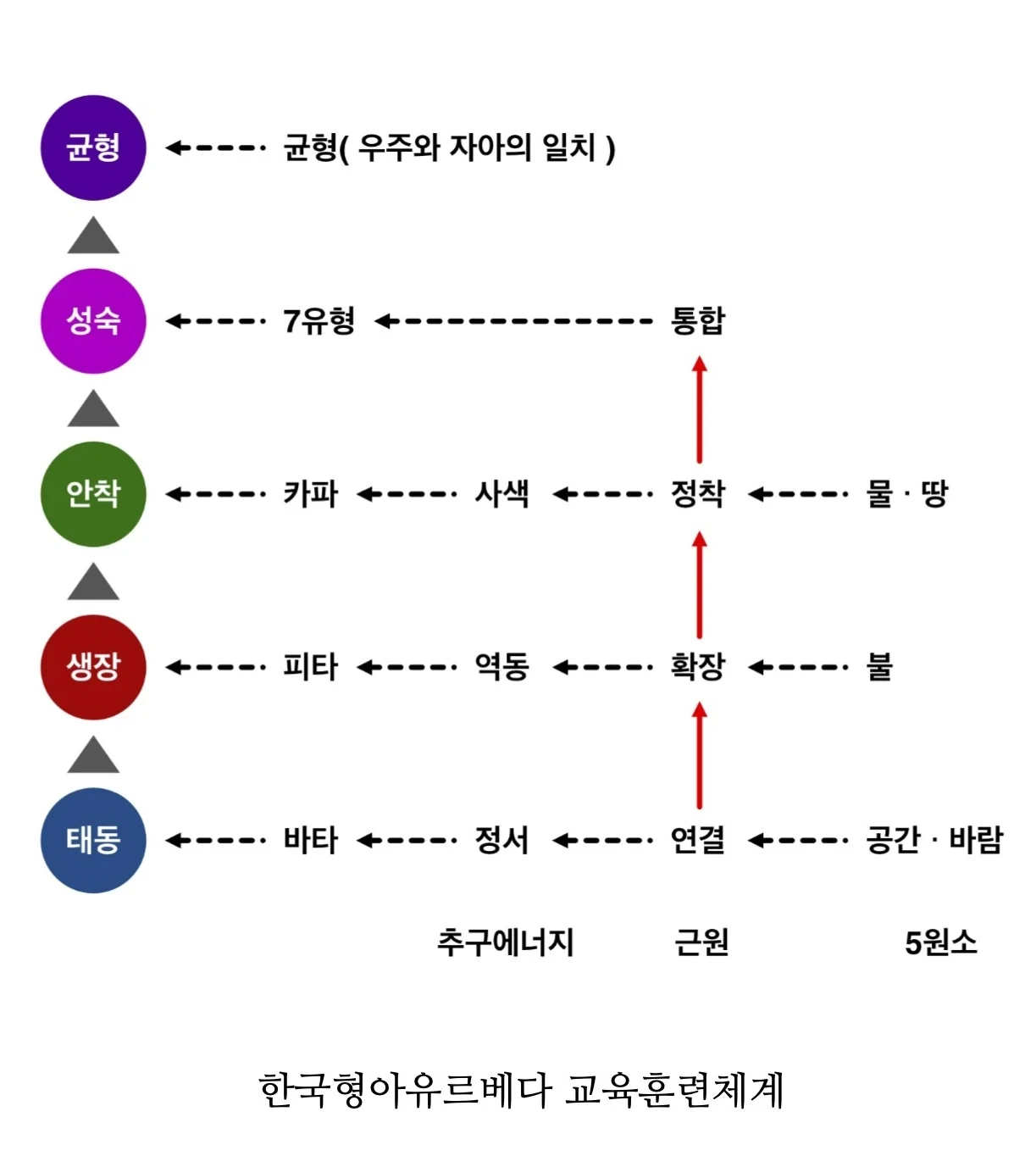 바타 1단계에서 피타, 카파, 7유형을 거쳐 균형 5단계로 올라가는 한국형아유르베다 교육훈련체계